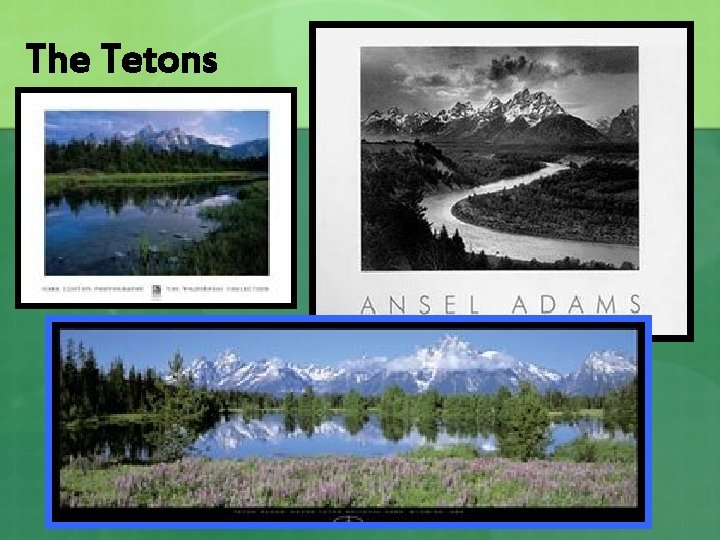 The Tetons 