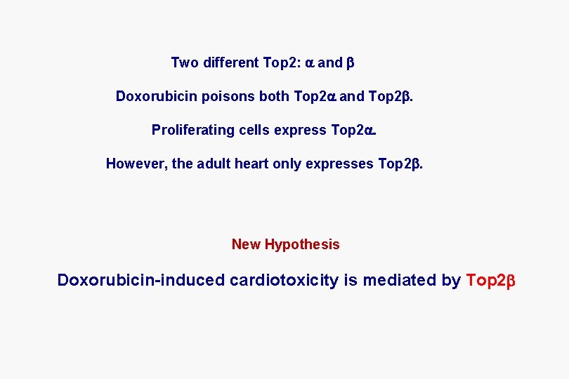 Two different Top 2: a and b Doxorubicin poisons both Top 2 a and