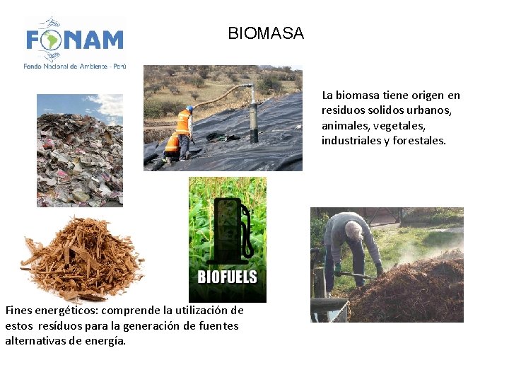 BIOMASA La biomasa tiene origen en residuos solidos urbanos, animales, vegetales, industriales y forestales.
