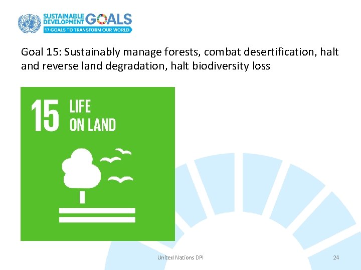 Goal 15: Sustainably manage forests, combat desertification, halt and reverse land degradation, halt biodiversity