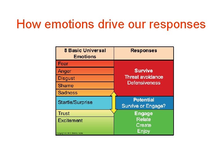 How emotions drive our responses 