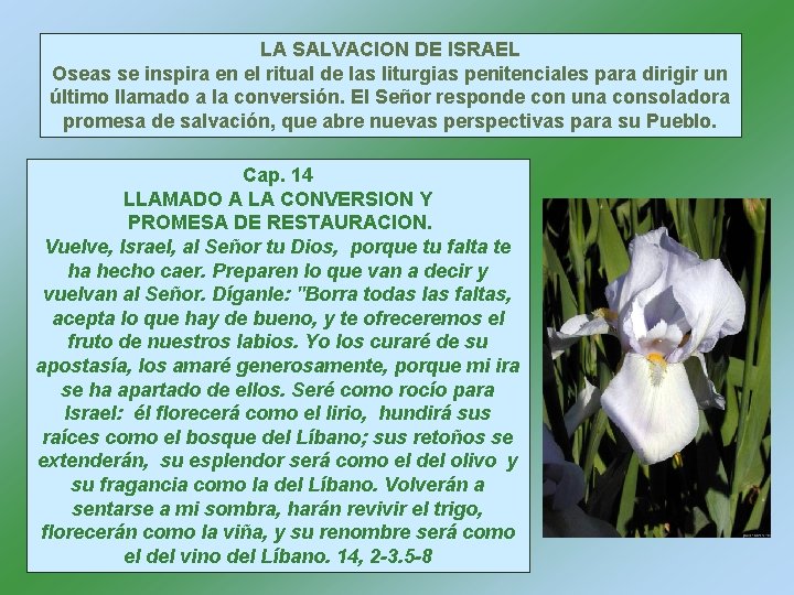 LA SALVACION DE ISRAEL Oseas se inspira en el ritual de las liturgias penitenciales