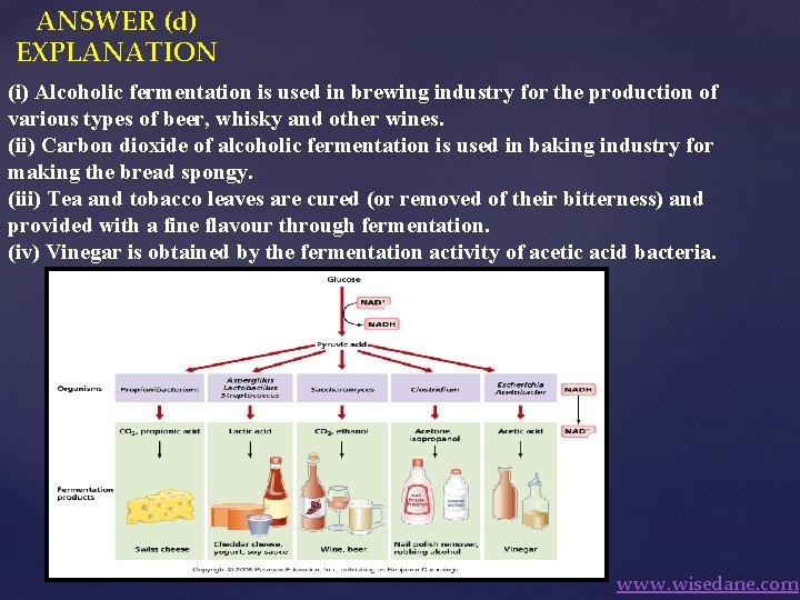 ANSWER (d) EXPLANATION (i) Alcoholic fermentation is used in brewing industry for the production