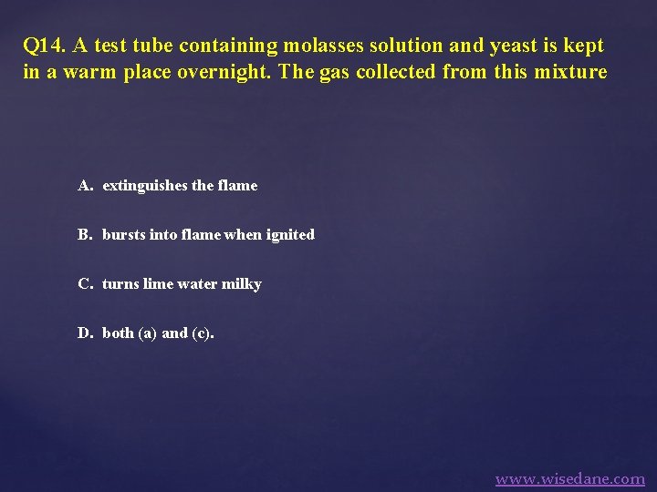 Q 14. A test tube containing molasses solution and yeast is kept in a
