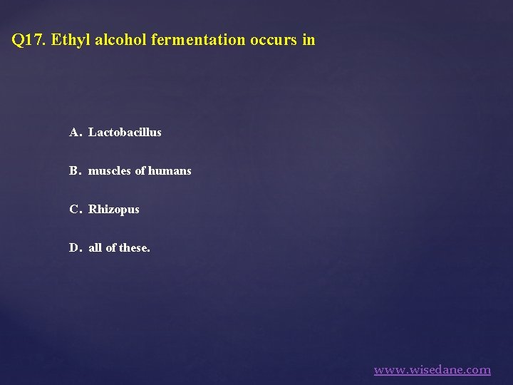 Q 17. Ethyl alcohol fermentation occurs in A. Lactobacillus B. muscles of humans C.