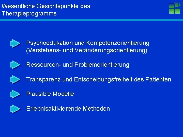 Wesentliche Gesichtspunkte des Therapieprogramms Psychoedukation und Kompetenzorientierung (Verstehens- und Veränderungsorientierung) Ressourcen- und Problemorientierung Transparenz