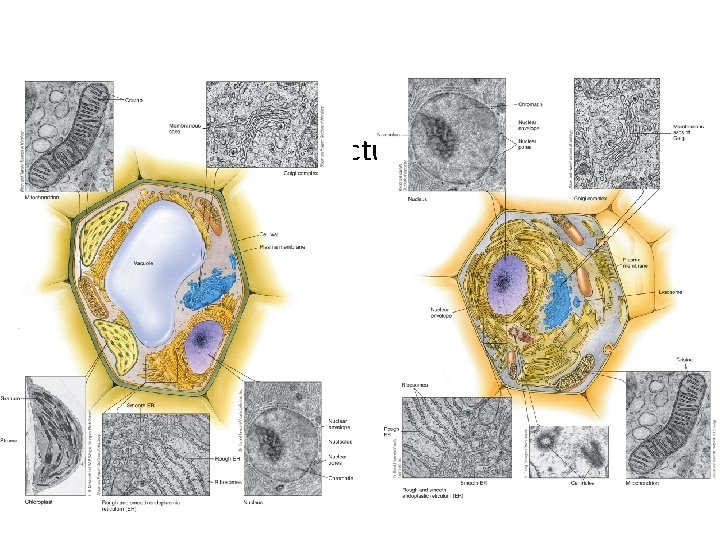  • Review of previous lecture (~10 slides) 