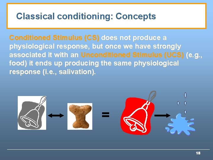 Classical conditioning: Concepts Conditioned Stimulus (CS) does not produce a physiological response, but once