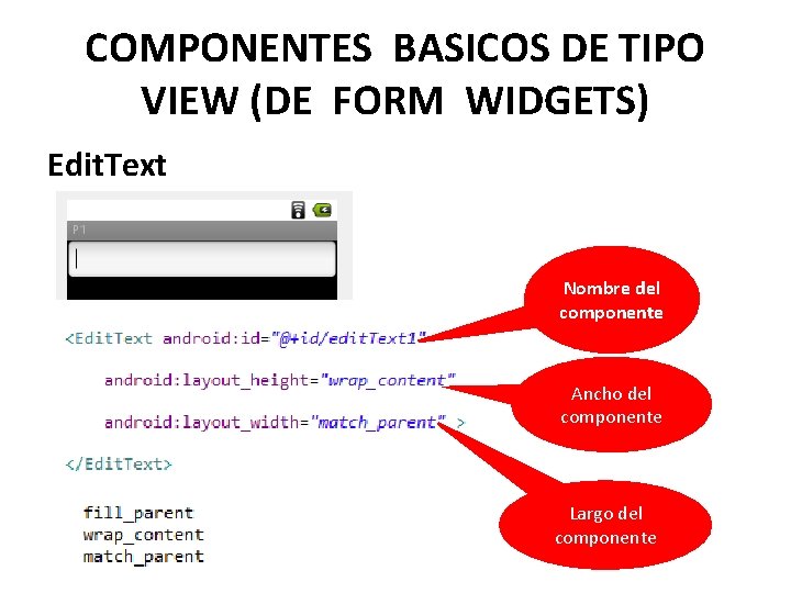 COMPONENTES BASICOS DE TIPO VIEW (DE FORM WIDGETS) Edit. Text Nombre del componente Ancho