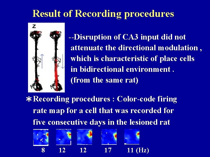 Result of Recording procedures --Disruption of CA 3 input did not attenuate the directional