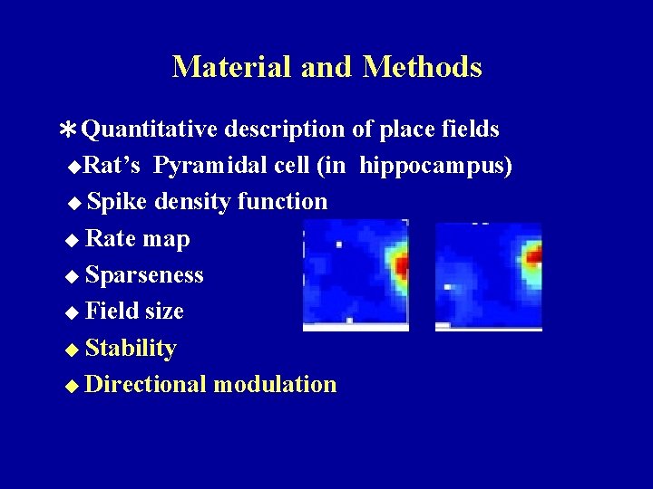 Material and Methods ＊Quantitative description of place fields ◆Rat’s Pyramidal cell (in hippocampus) ◆