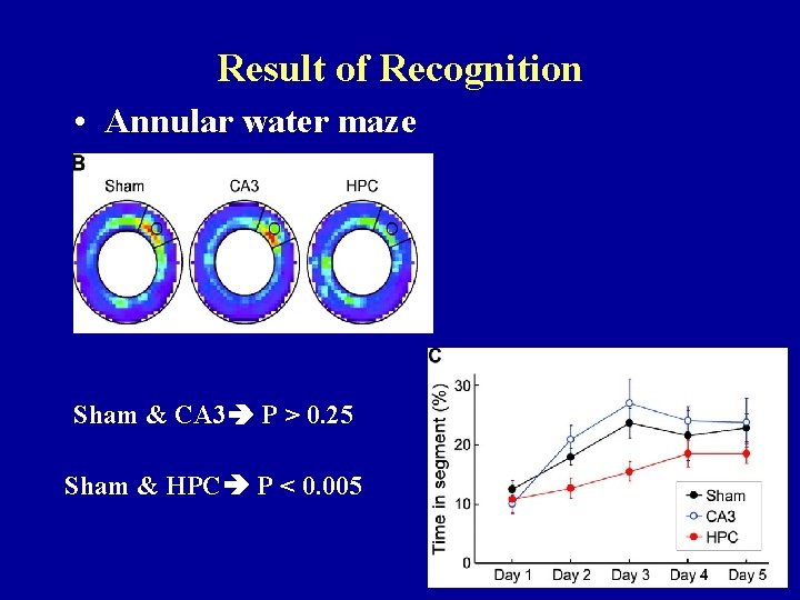 Result of Recognition • Annular water maze Sham & CA 3 P > 0.