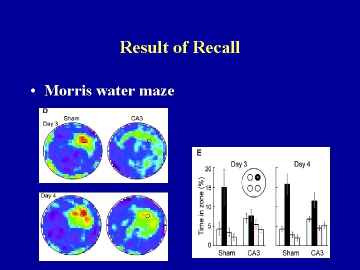 Result of Recall • Morris water maze 