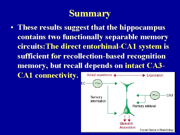 Summary • These results suggest that the hippocampus contains two functionally separable memory circuits: