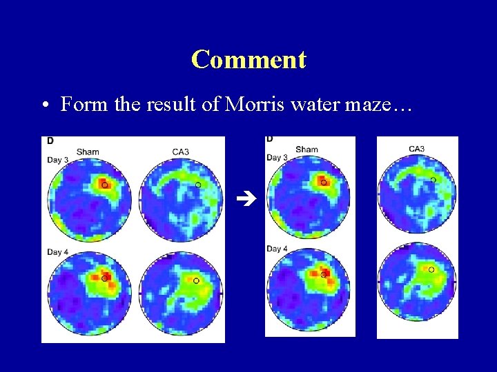 Comment • Form the result of Morris water maze… 