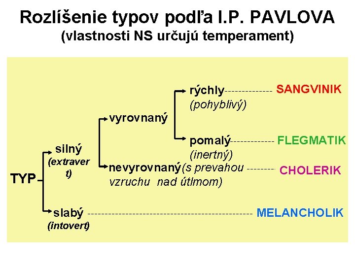 Rozlíšenie typov podľa I. P. PAVLOVA (vlastnosti NS určujú temperament) rýchly (pohyblivý) SANGVINIK vyrovnaný