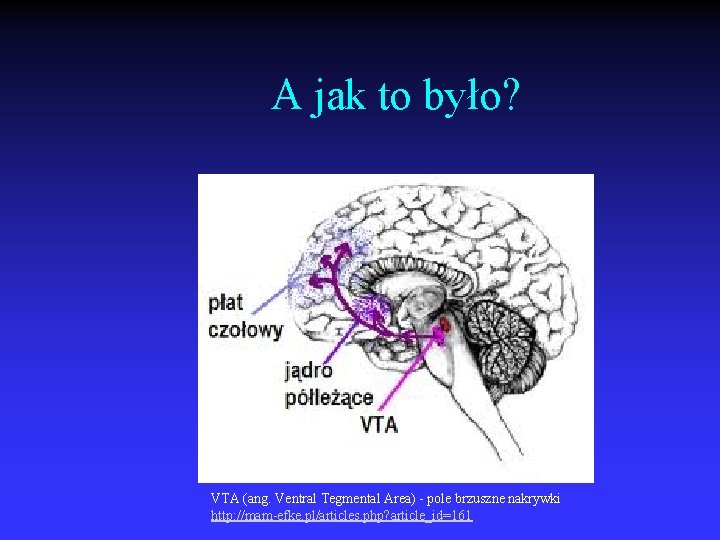 A jak to było? VTA (ang. Ventral Tegmental Area) - pole brzuszne nakrywki http: