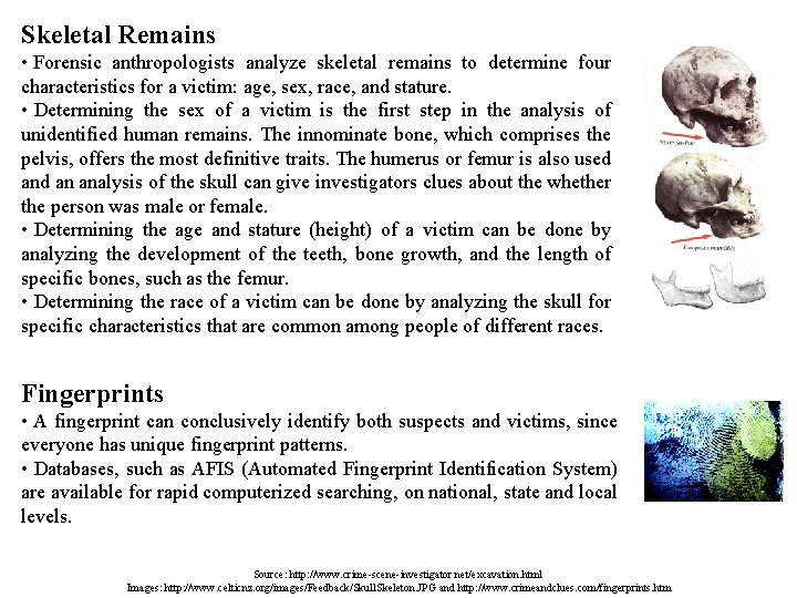 Skeletal Remains • Forensic anthropologists analyze skeletal remains to determine four characteristics for a