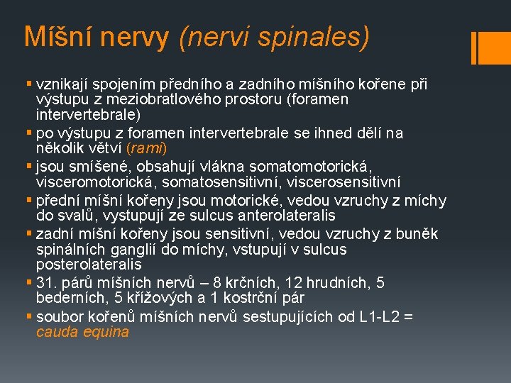 Míšní nervy (nervi spinales) § vznikají spojením předního a zadního míšního kořene při výstupu