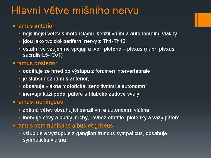 Hlavní větve míšního nervu § ramus anterior • nejsilnější větev s motorickými, senzitivními a