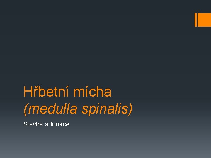 Hřbetní mícha (medulla spinalis) Stavba a funkce 