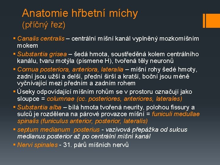 Anatomie hřbetní míchy (příčný řez) § Canalis centralis – centrální míšní kanál vyplněný mozkomíšním