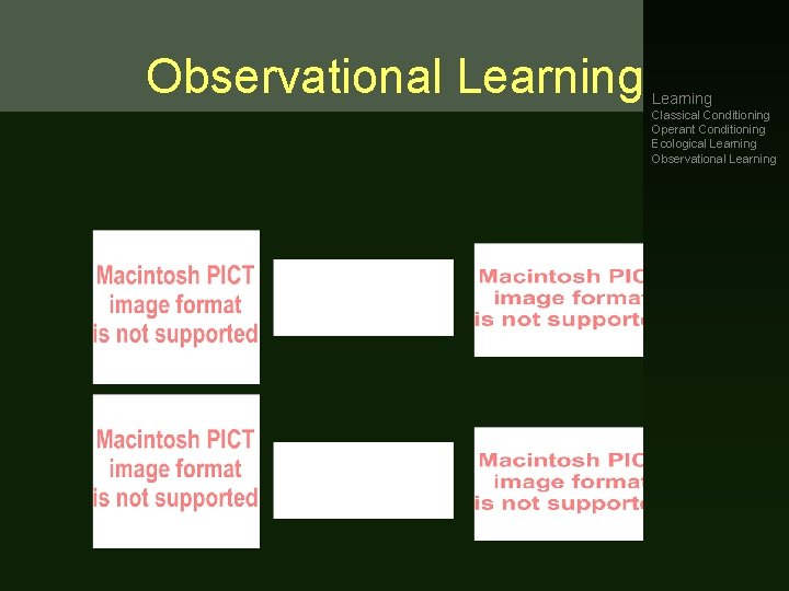 Observational Learning • Bandura’s Bobo doll study Learning Classical Conditioning Operant Conditioning Ecological Learning