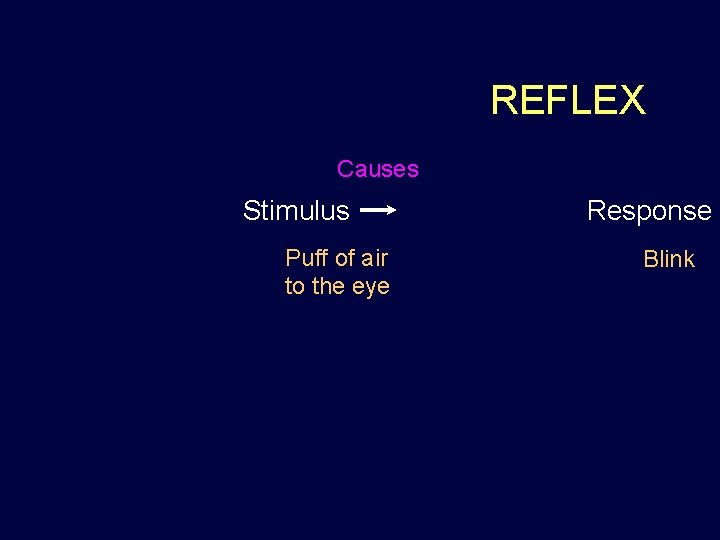 REFLEX Causes Stimulus Puff of air to the eye Response Blink REFLEX Causes Stimulus Puff of air to the eye Response Blink
