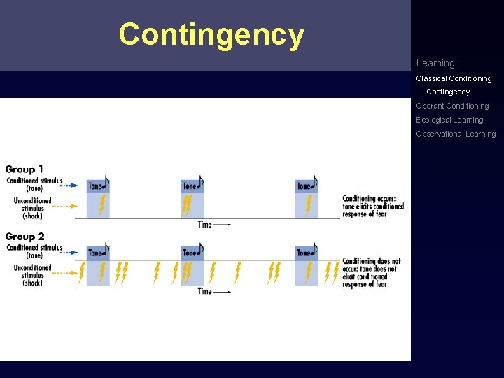 Contingency Learning Classical Conditioning Contingency Operant Conditioning Ecological Learning Observational Learning 