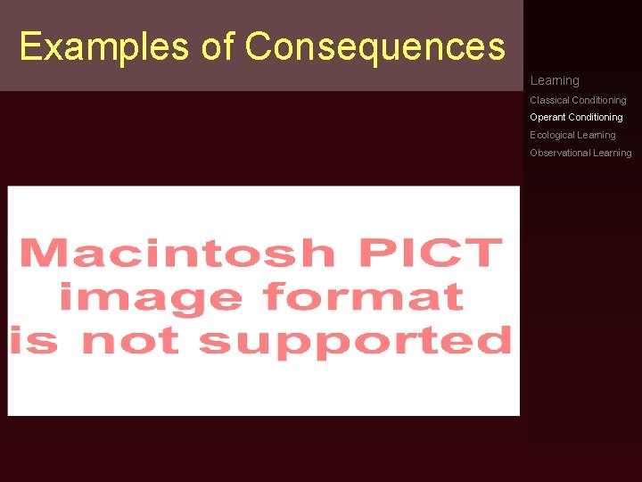 Examples of Consequences Learning Classical Conditioning Operant Conditioning Ecological Learning Observational Learning 