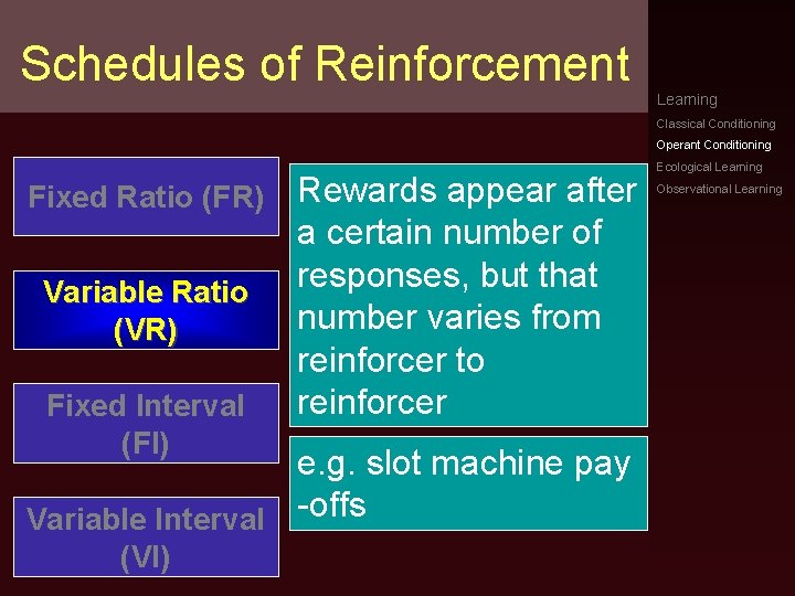 Schedules of Reinforcement Learning Classical Conditioning Operant Conditioning Fixed Ratio (FR) Rewards appear after