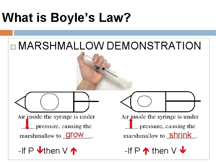 What is Boyle’s Law? MARSHMALLOW DEMONSTRATION grow -If P then V shrink -If P