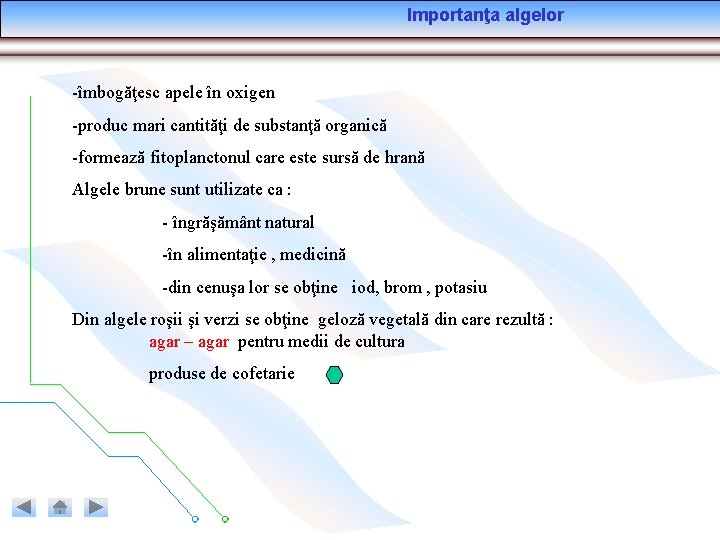 Importanţa algelor -îmbogăţesc apele în oxigen -produc mari cantităţi de substanţă organică -formează fitoplanctonul Importanţa algelor -îmbogăţesc apele în oxigen -produc mari cantităţi de substanţă organică -formează fitoplanctonul