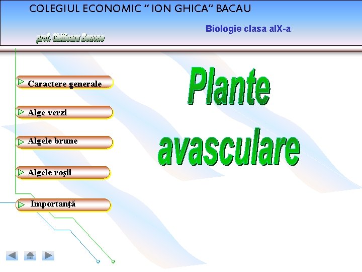 COLEGIUL ECONOMIC “ ION GHICA” BACAU Biologie clasa a. IX-a Caractere generale Alge verzi COLEGIUL ECONOMIC “ ION GHICA” BACAU Biologie clasa a. IX-a Caractere generale Alge verzi