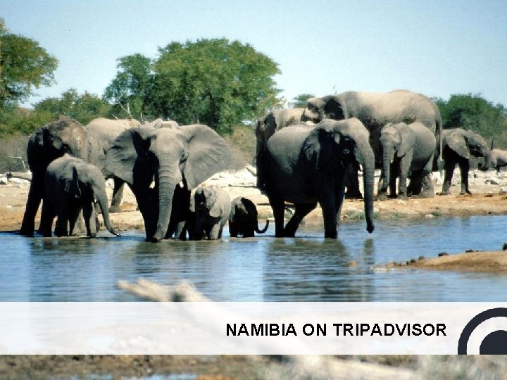 NAMIBIA ON TRIPADVISOR 12 