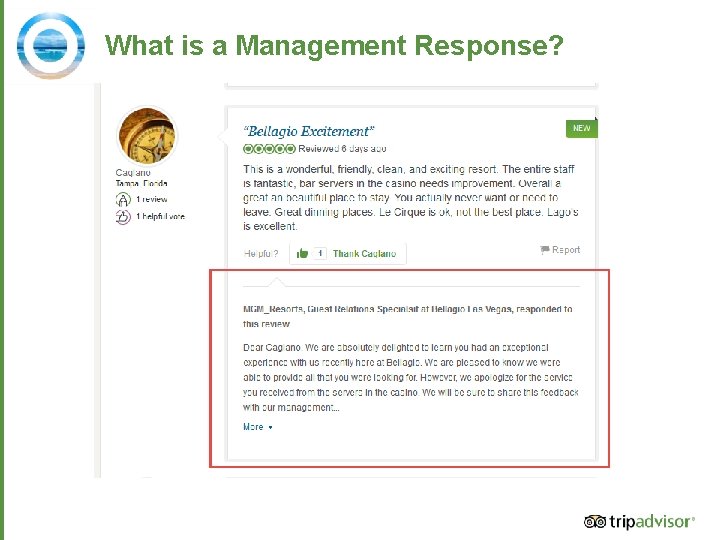 What is a Management Response? 