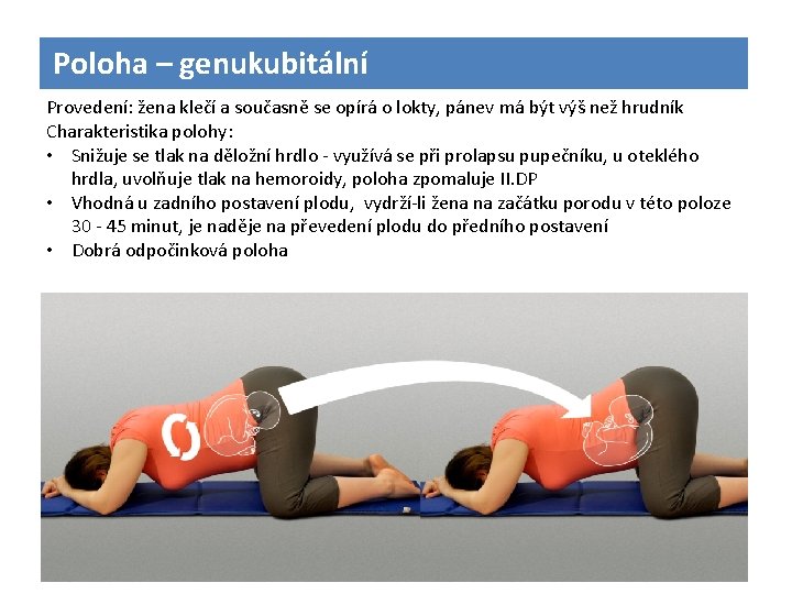 Poloha – genukubitální Provedení: žena klečí a současně se opírá o lokty, pánev má