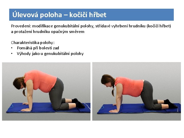 Úlevová poloha – kočičí hřbet Provedení: modifikace genukubitální polohy, střídavé vyhrbení hrudníku (kočičí hřbet)