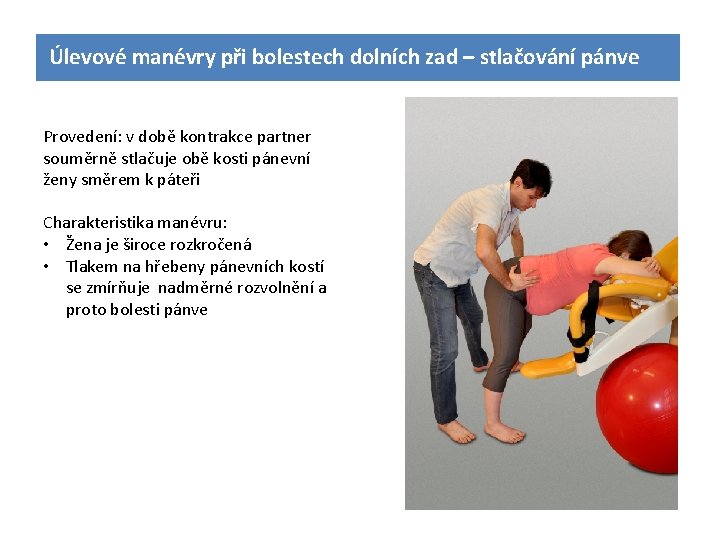 Úlevové manévry při bolestech dolních zad – stlačování pánve Provedení: v době kontrakce partner