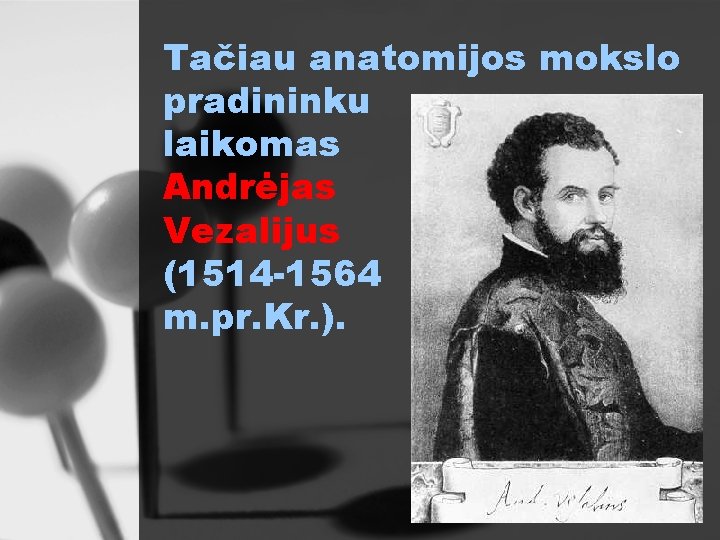 Tačiau anatomijos mokslo pradininku laikomas Andrėjas Vezalijus (1514 -1564 m. pr. Kr. ). 