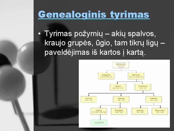 Genealoginis tyrimas • Tyrimas požymių – akių spalvos, kraujo grupės, ūgio, tam tikrų ligų