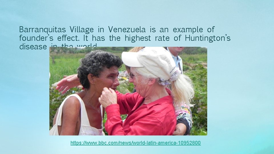 Barranquitas Village in Venezuela is an example of founder’s effect. It has the highest