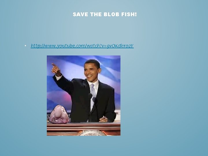 SAVE THE BLOB FISH! • http: //www. youtube. com/watch? v=9 v. OKdi 1 ro