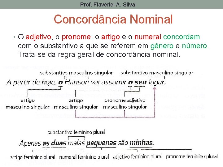 Prof. Flaverlei A. Silva Concordância Nominal • O adjetivo, o pronome, o artigo e