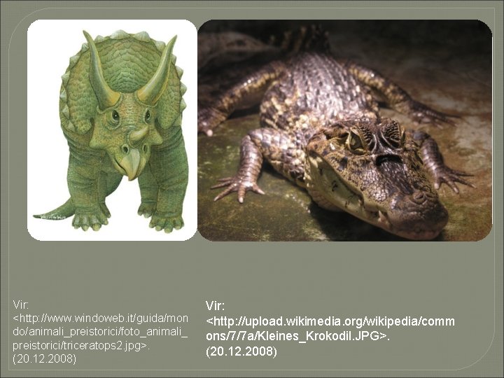 Vir: <http: //www. windoweb. it/guida/mon do/animali_preistorici/foto_animali_ preistorici/triceratops 2. jpg>. (20. 12. 2008) Vir: <http: