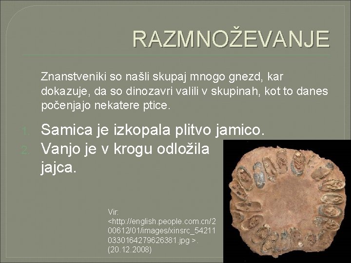 RAZMNOŽEVANJE Znanstveniki so našli skupaj mnogo gnezd, kar dokazuje, da so dinozavri valili v