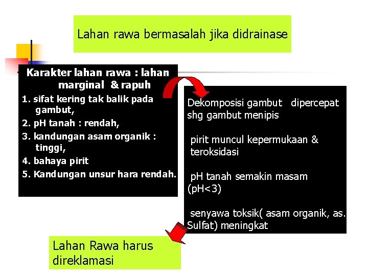 Lahan rawa bermasalah jika didrainase Karakter lahan rawa : lahan marginal & rapuh 1.