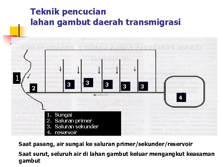 Teknik pencucian lahan gambut daerah transmigrasi 1 3 2 3 3 4 1. 2.