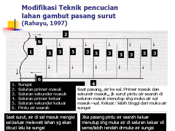 Modifikasi Teknik pencucian lahan gambut pasang surut (Rahayu, 1997) 2 6 1 5 3