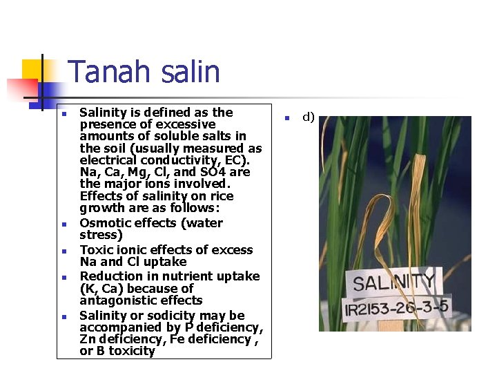 Tanah salin n n Salinity is defined as the presence of excessive amounts of